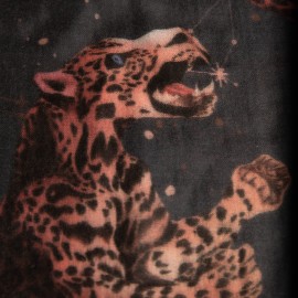 Cashmere sjal med stjärn och leopardtryck